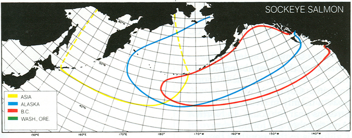 Figure 1. Approximate range for the distribution of Sockeye Salmon in the North Pacific Ocean originating from North America and Asia. Source: http://www.pac.dfo-mpo.gc.ca/fm-gp/species-especes/salmon-saumon/facts-infos/sockeye-rouge-eng.html 