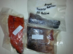 Salmon samples bagged, to be frozen, and shipped to Health Canada's Radiation Protection Bureau.